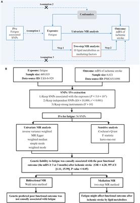 Causal associations of fatigue and functional outcome after ischemic stroke: a mediation Mendelian randomization study